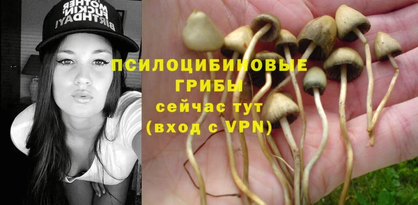 герыч Алзамай