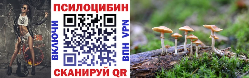 наркошоп  MEGA онион  Галлюциногенные грибы Psilocybine cubensis  darknet телеграм  Ивдель 