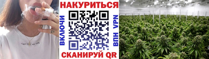 Бошки Шишки гибрид  магазин продажи   Ивдель 